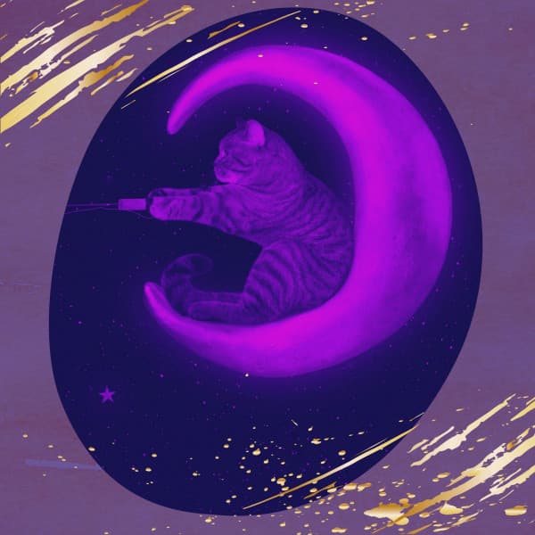 Music for Funny Kitten - Cat Music Therapy