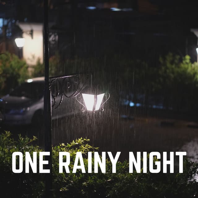One Rainy Night - Rain Drops for Sleep
