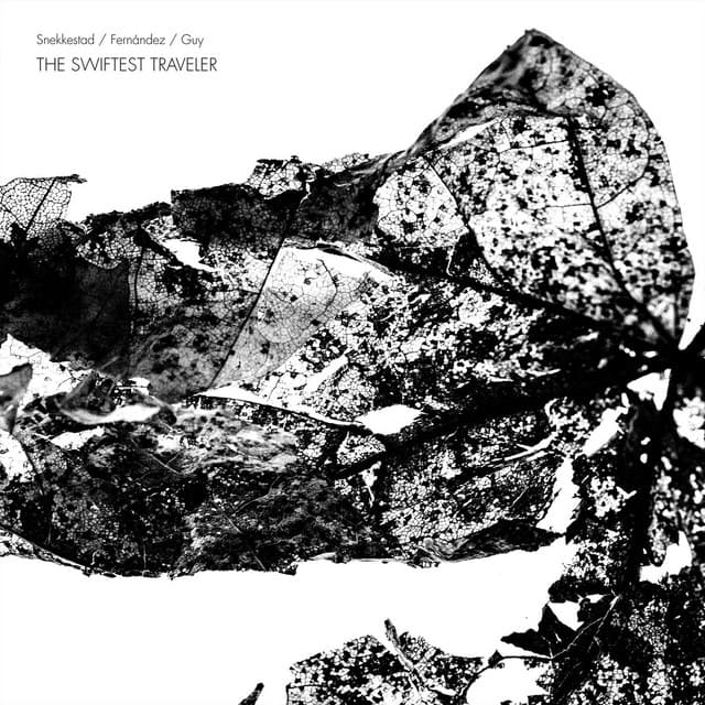 The Swiftest Traveler - Torben Snekkestad