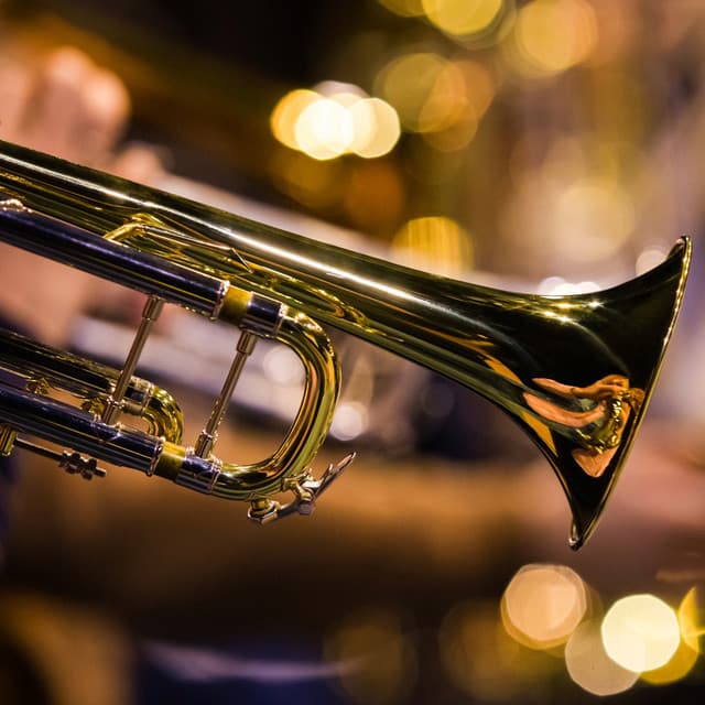 Serene Orchestra Music for Baby Relaxation - Charles Anderson