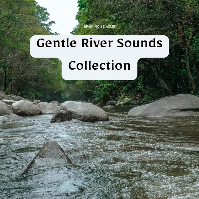 Gentle River Sounds Collection - River Noise ASMR