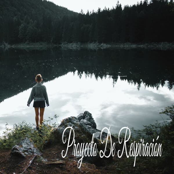 Proyecto De Respiración - Música Relajante
