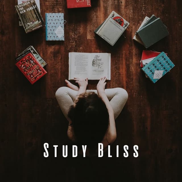 Study Bliss: Lofi and Chill Muic for Intellectual Flow - The Lofi King