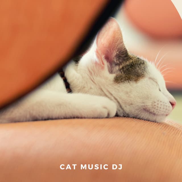 Music For Cats, Vol. 2 - Cat Music DJ