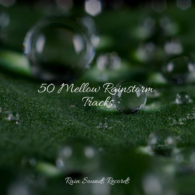 50 Mellow Rainstorm Tracks - Relajacion Del Mar