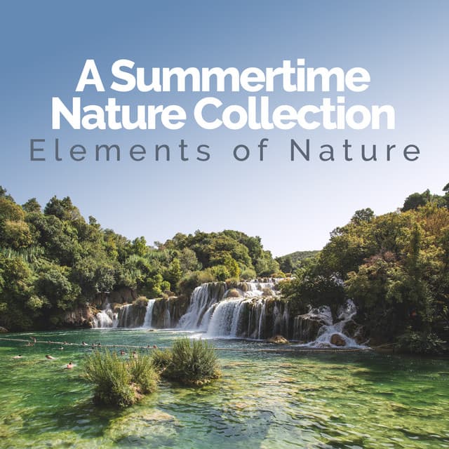 A Summertime Nature Collection - Elements of Nature