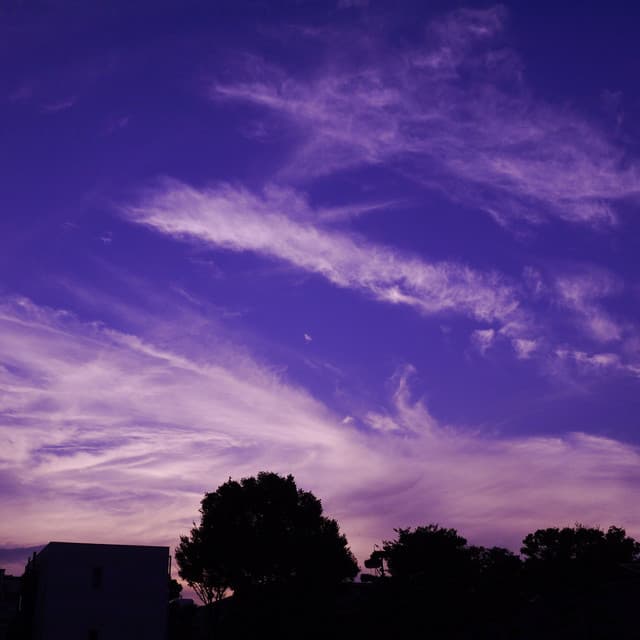 Calm Lofi Beats for Evening Tranquility - Celebratory Tunes