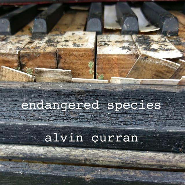 Alvin Curran: Endangered Species - Alvin Curran