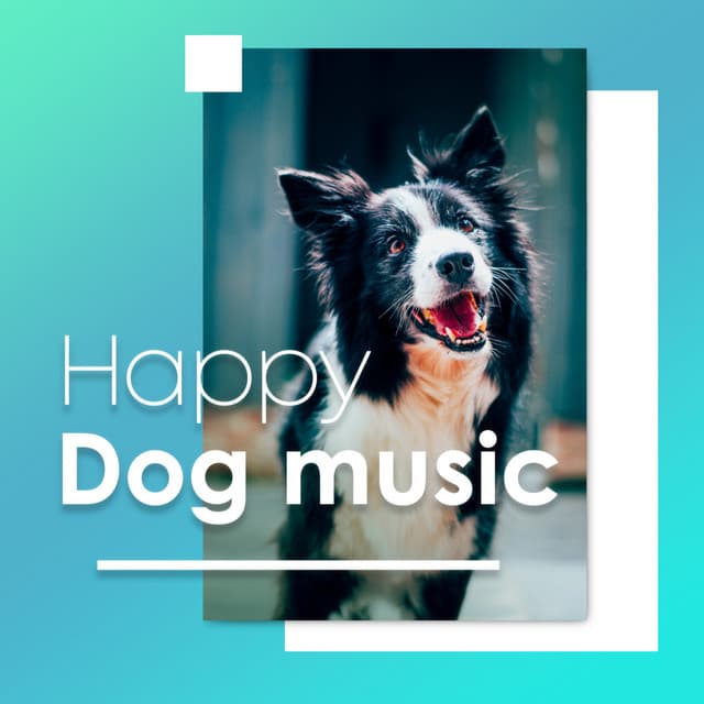 Happy Dog Music - Dog Music Dreams