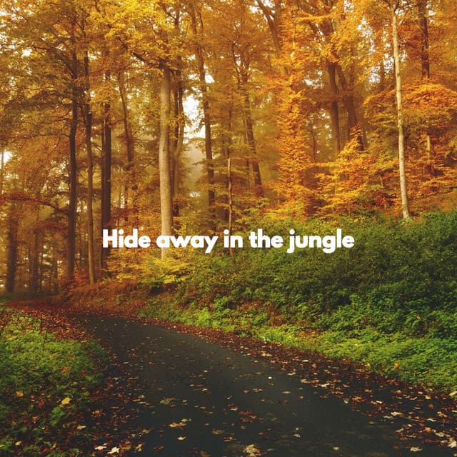 Hide away in the jungle - Música Para Estudar