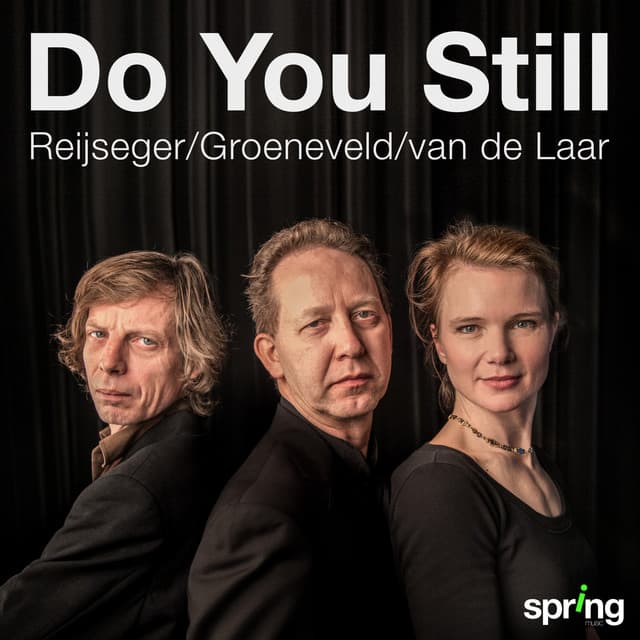 Do You Still - Ernst Reijseger
