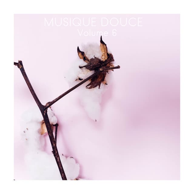 Musique Douce, Vol. 6 - Musique Zen Garden