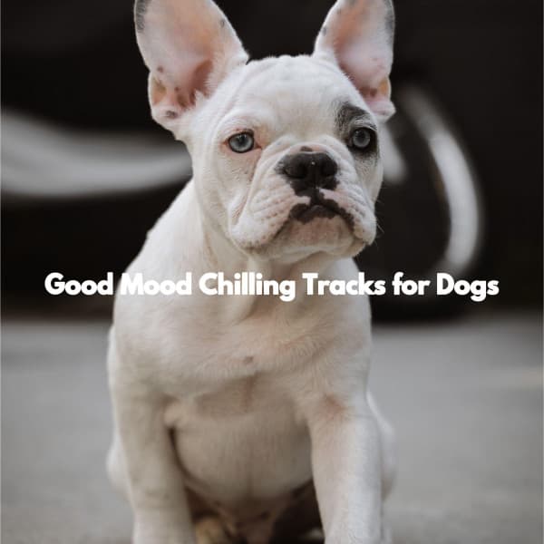 Good Mood Chilling Tracks for Dogs - New Orleans Jazz Band