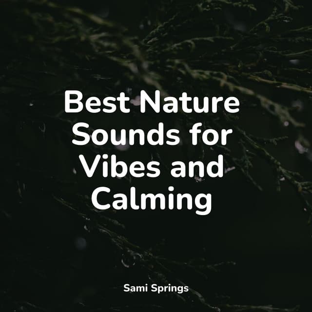 Best Nature Sounds for Vibes and Calming - White Noise Sound Garden