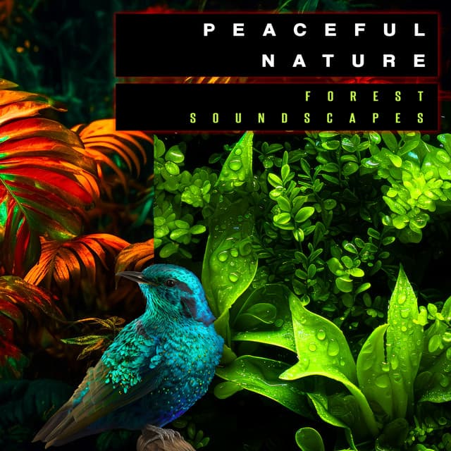 Peaceful Nature - Forest Soundscapes