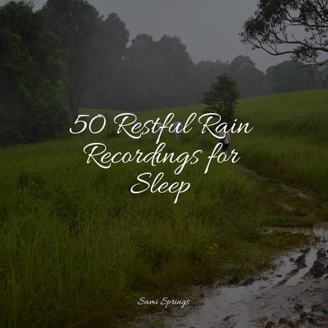 50 Restful Rain Recordings for Sleep - Sleep Songs 101