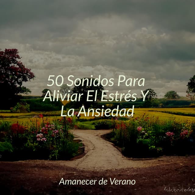 50 Sonidos Para Aliviar El Estrés Y La Ansiedad - Música para Correr