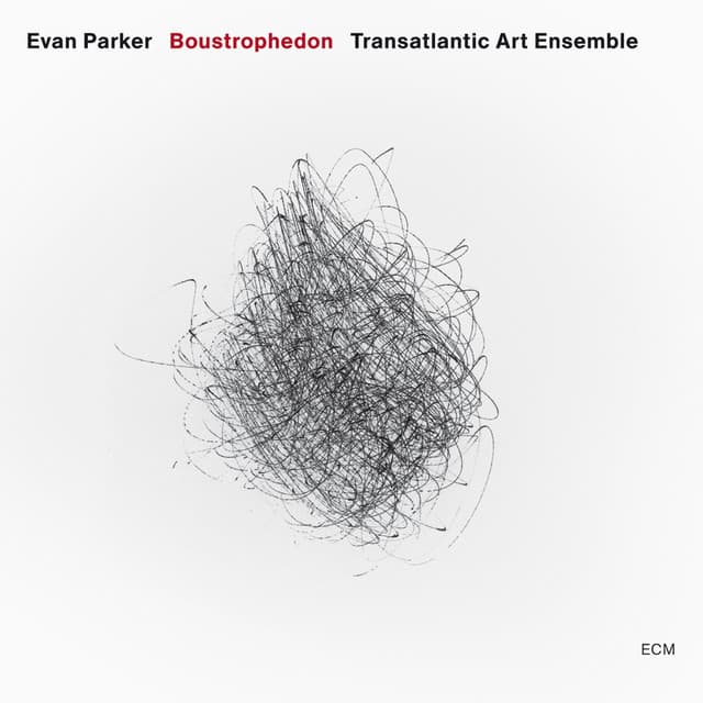 Boustrophedon - Evan Parker