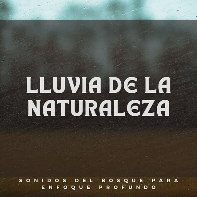 Lluvia De La Naturaleza: Sonidos Del Bosque Para Enfoque Profundo - Danny sonidos de lluvia