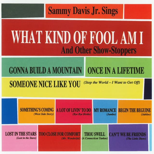 What Kind Of Fool Am I & Other Show Stoppers - Sammy Davis Jr.