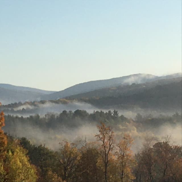 Freestyle Express - David Bond