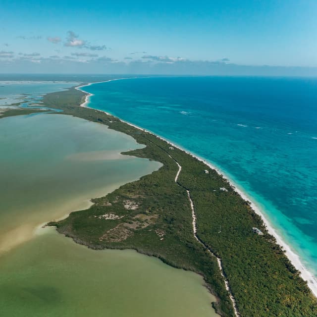 Looped White Infant Noise - White Noise Collectors