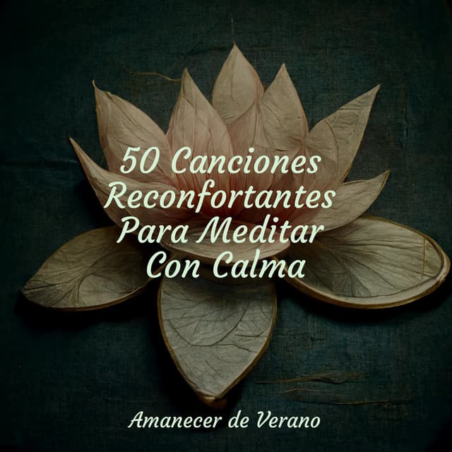 50 Canciones Reconfortantes Para Meditar Con Calma - Relaxing Music