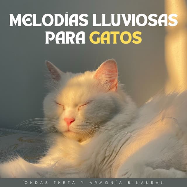 Melodías Lluviosas Para Gatos: Ondas Theta Y Armonía Binaural - Explorador binaural