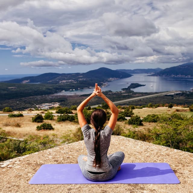 Harmonic Nature Balance: A Binaural Symphony of Yoga Harmony - Natures DNA