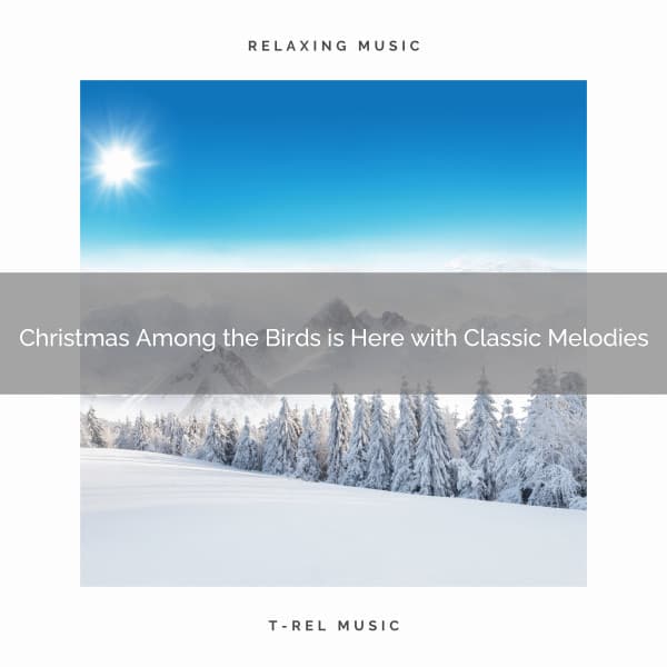Christmas Among the Birds is Here with Classic Melodies - Sound Sleeping