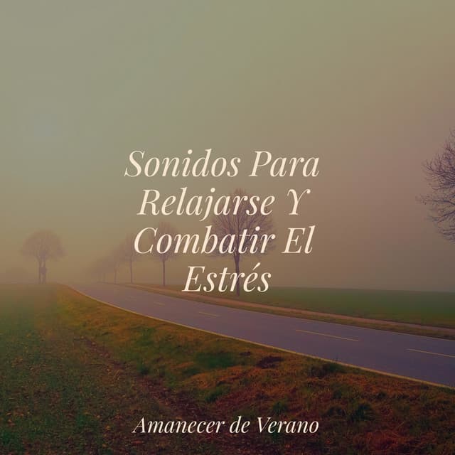 Sonidos Para Relajarse Y Combatir El Estrés - Dormir