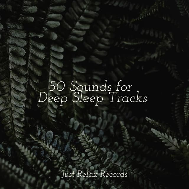 50 Sounds for Deep Sleep Tracks - kinderliedjes
