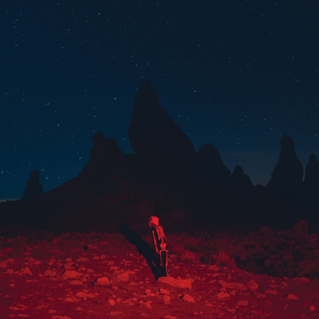 Punisher - Phoebe Bridgers