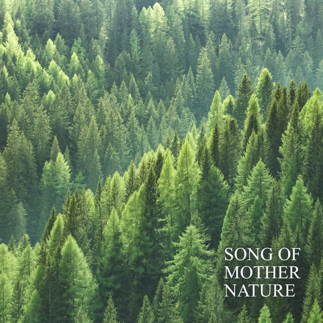 Song of Mother Nature: Soothing Sounds to Slow Down and Learn to Relax - Stress Relief Calm Oasis