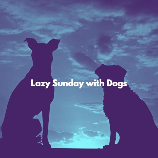 Lazy Sunday with Dogs - Jazz Classics