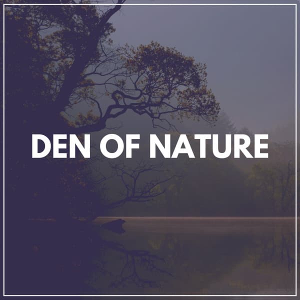 Den of Nature - The Nature Soundscapes