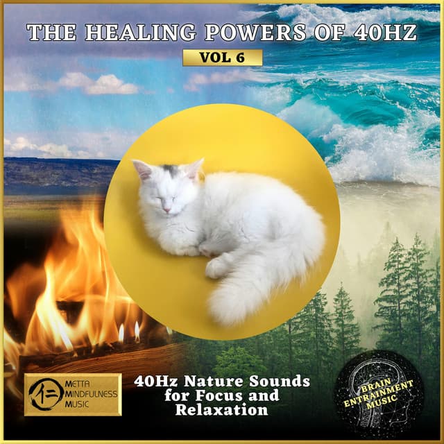 The Healing Powers of 40Hz Vol 6: 40Hz Nature Sounds for Focus and Relaxation - Yuval Ron
