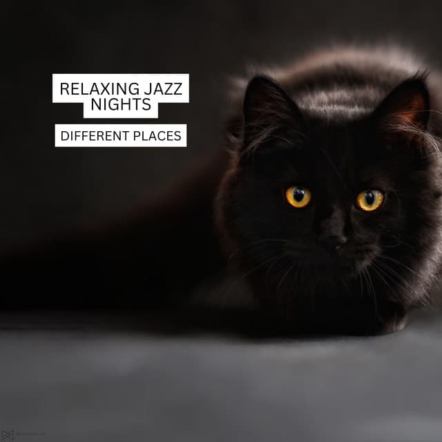 Different Places - Relaxing Jazz Nights