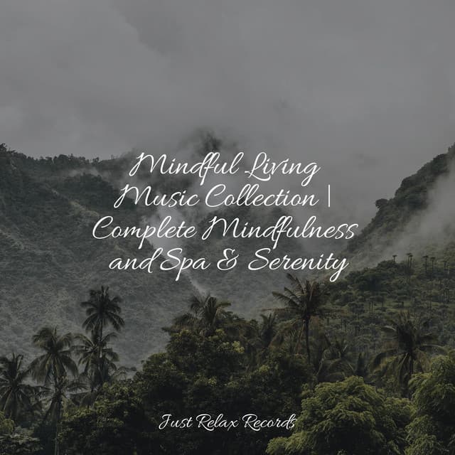 Mindful Living Music Collection | Complete Mindfulness and Spa & Serenity - Relajacion Del Mar