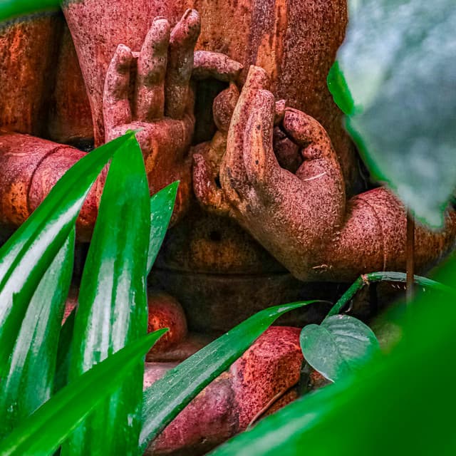 1 Sleep Saga: Weary Wonder - Calm Music