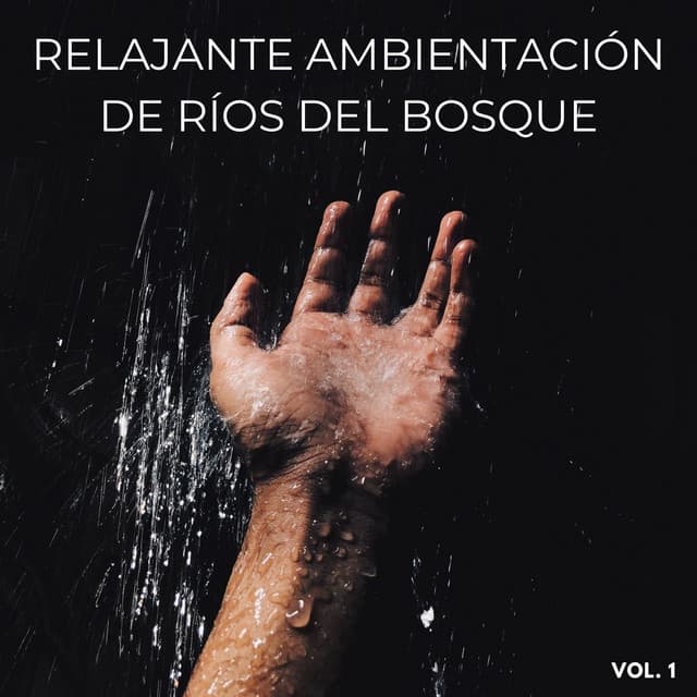 Relajante Ambientación De Ríos Del Bosque Vol. 1 - Sonidos de la Naturaleza JBE