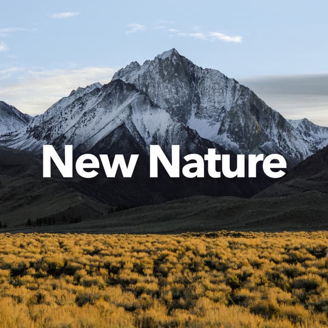 New Nature - Nature Sounds