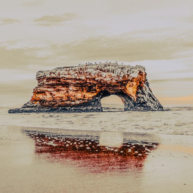 50 Tranquil Water Songs: Cascading into Peace - Seascapers