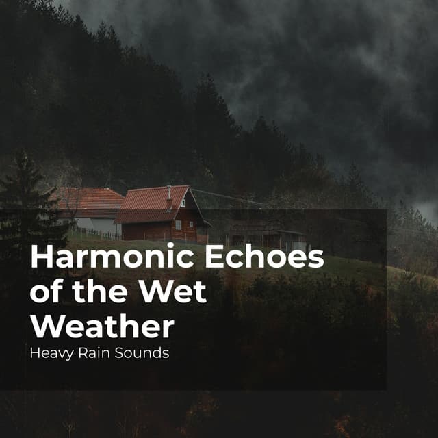 Harmonic Echoes of the Wet Weather - Heavy Rain Sounds