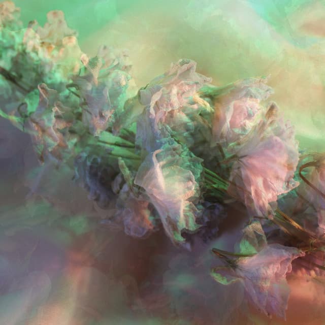 dirge - Joanna Mattrey