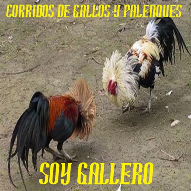 CORRIDOS DE GALLOS Y PALENQUES