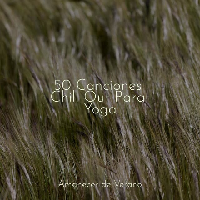 50 Canciones Chill Out Para Yoga - Calm Music for Studying