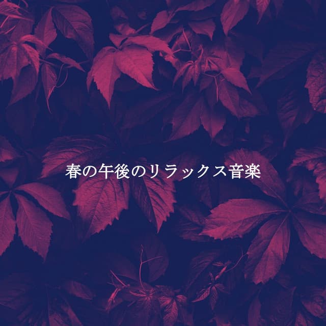 Música para Concentrarse Universo