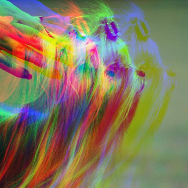 Music for Calm Doggo - Lonely Jazz Quintet - Dog Calming Music