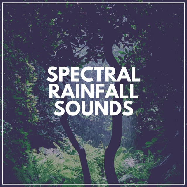 Spectral Rainfall Sounds - Rainfall